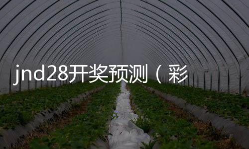 jnd28开奖预测(彩28开奖网) jnd28开奖预测(彩28开奖网)